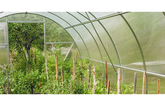 Polycarbonate greenhouse