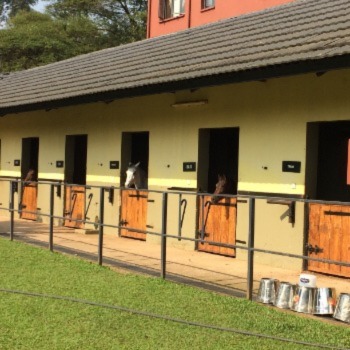 Stables