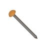 Soffit, Fascia & Capping Board Polytop Fixing Pins - 30mm - Irish Oak (Pack of 250)