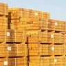 Premium Batten 25x50mm - Graded BS5534 - Per Linear Metre