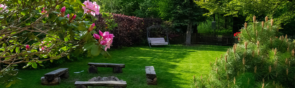 Garden Trends That Add The Most Value to Your Home