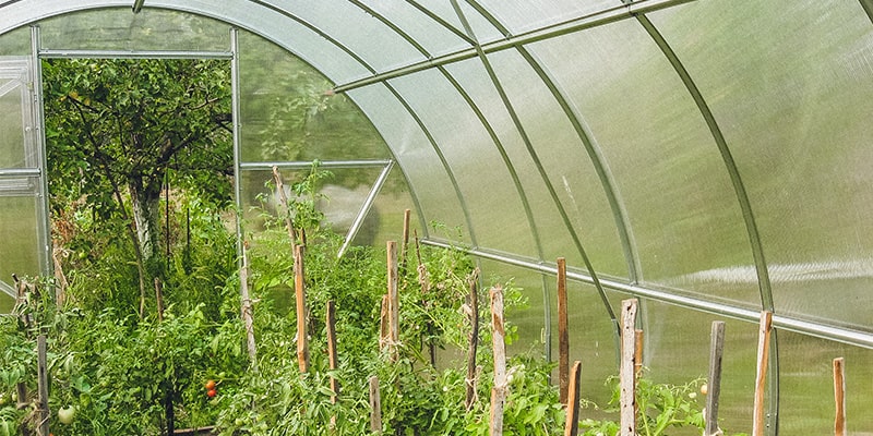 Polycarbonate greenhouse