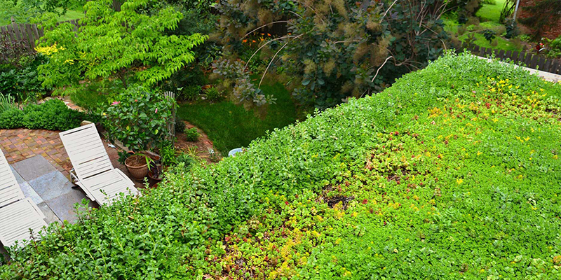 An Introduction to Green Roofs