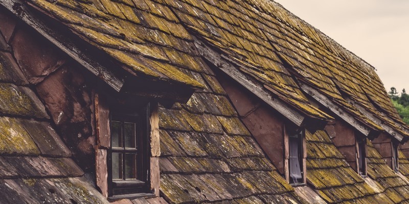 Mossy old tiled roof
